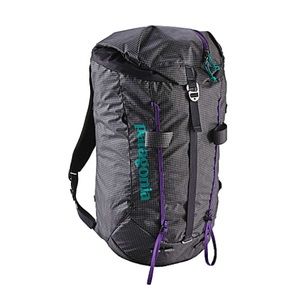 Patagonia Ascensionist Climbing/Day Pack